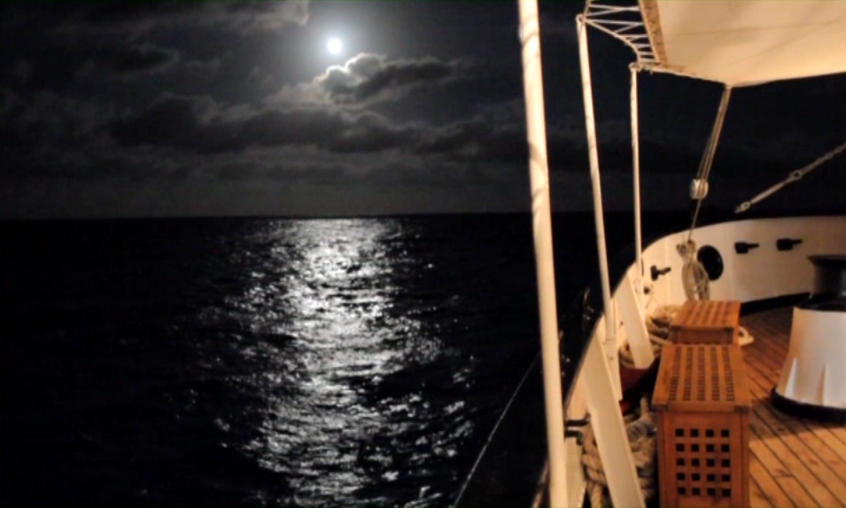 A Campaha do Creoula (2013) de André Valentim Almeida