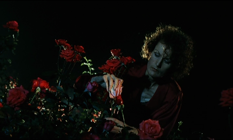 Der rosenkönig (O Rei das Rosas, 1986) de Werner Schroeter