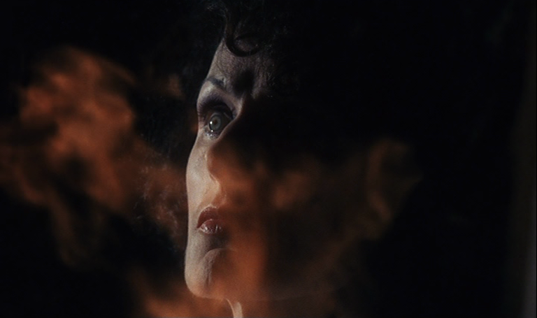 Der rosenkönig (O Rei das Rosas, 1986) de Werner Schroeter