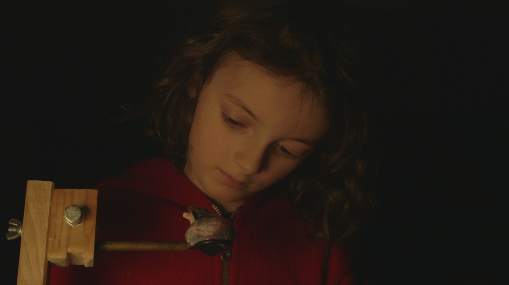 In Waking Hours (2015) de Sarah Vanagt e Katrien Vanagt