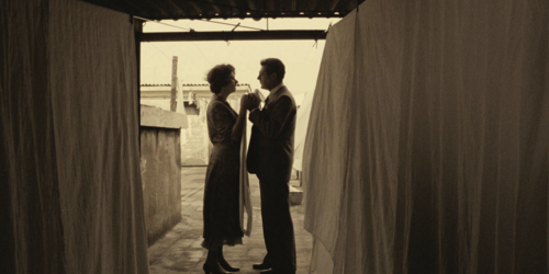 Una giornata particolare (A Special Day, 1977) de Ettore Scola