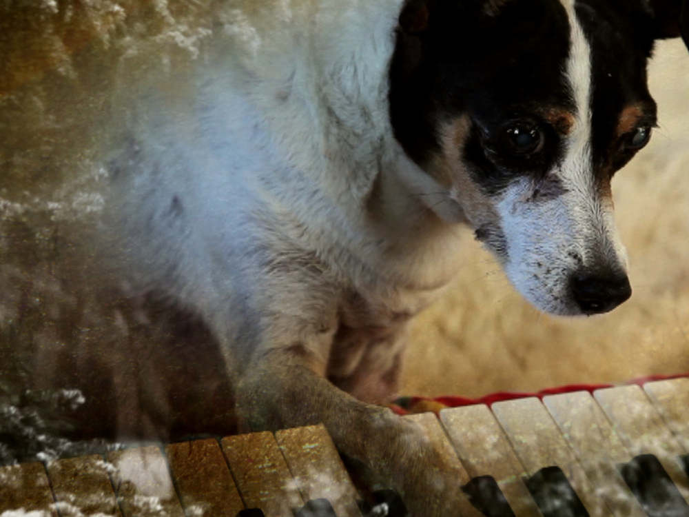Heart of a Dog (2015) de Laurie Anderson