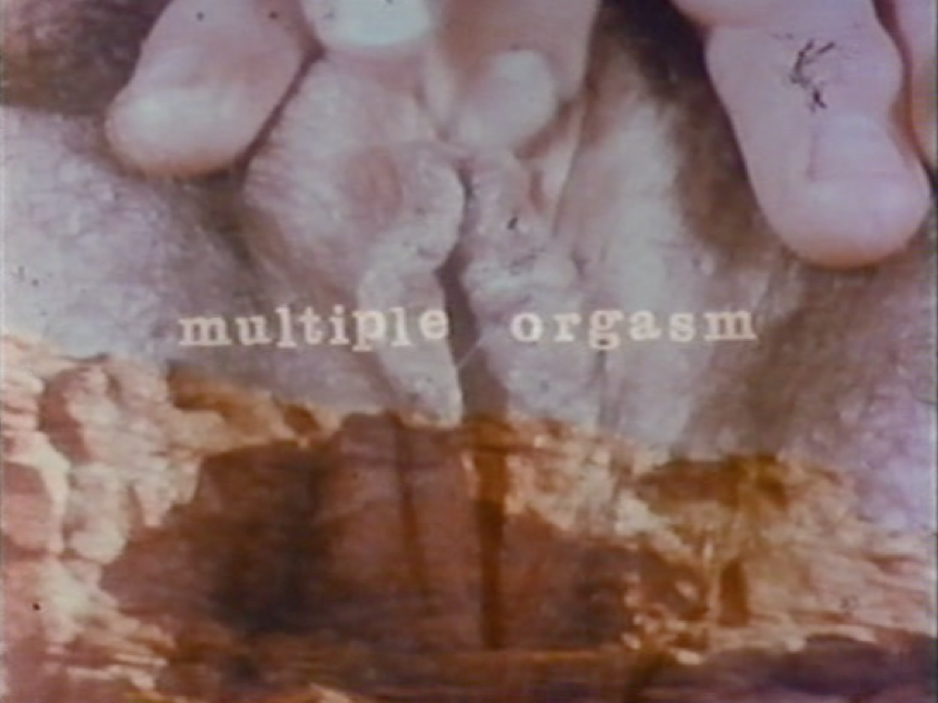Barbara Hammer, Multiple Orgasm (1976)