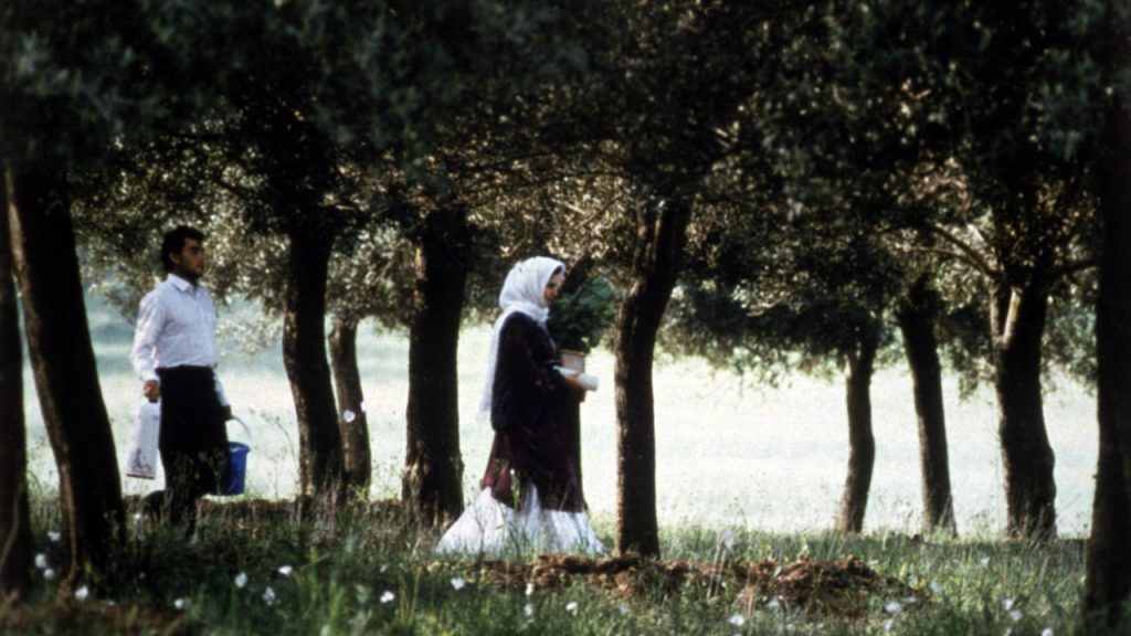 Zire darakhatan zeyton (Através das Oliveiras, 1994) de Abbas Kiarostami Zire darakhatan zeyton (Através das Oliveiras, 1994) de Abbas Kiarostami