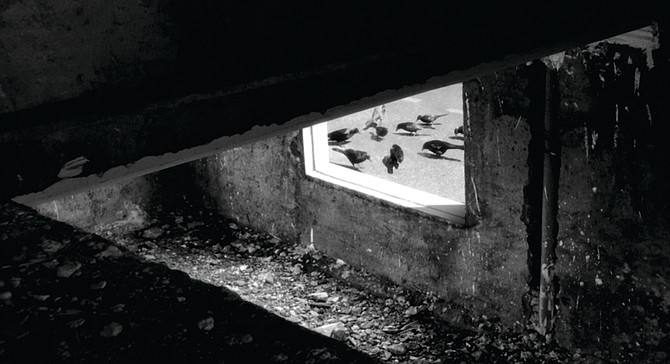 24 Frames (2017) de Abbas Kiarostami