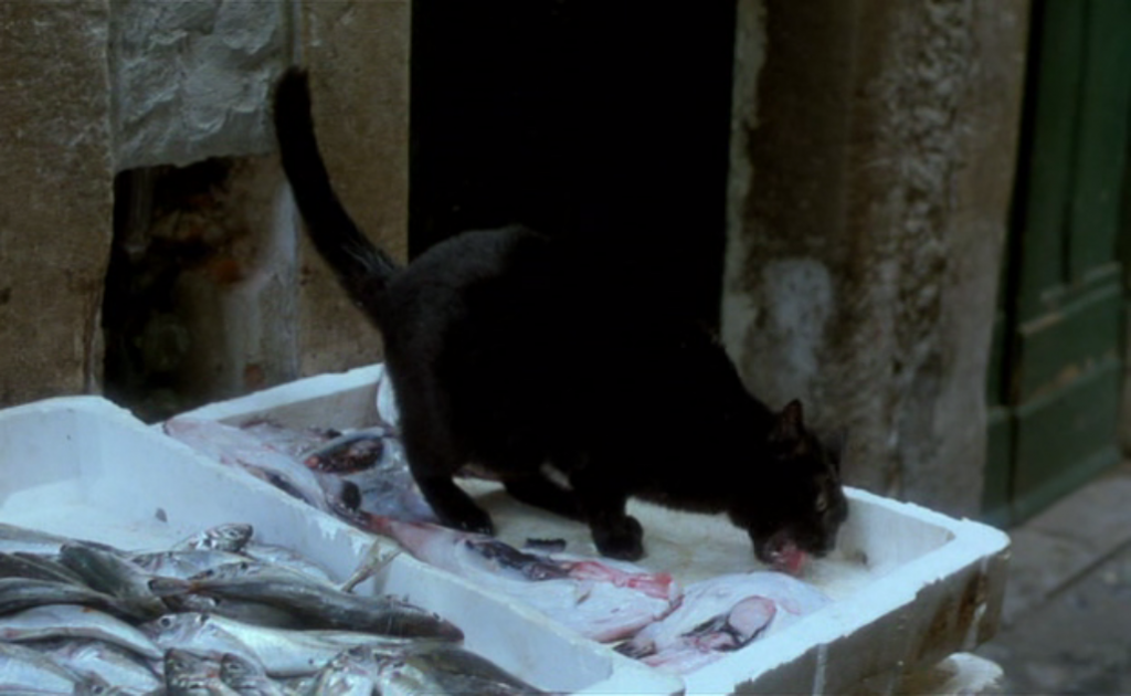 Ricardo Gross (RG): A Comédia de Deus (1995) de João César Monteiro