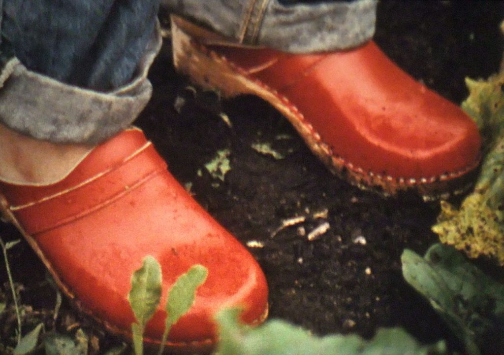 Rasendes Grün mit Pferden (Rushing Green With Horses, 2019) de Ute Aurand
